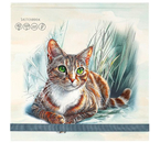 Скетчбук на резинке «Кошачий портрет», 200×200 мм, 40 л.