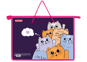 Папка для тетрадей «Пифагор» Cord с ручками, 335×235×55 мм, Cats Greetings