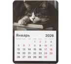 Календарь отрывной на магните на 2026 год Brauberg, 130×180 мм, «Спящий кот»