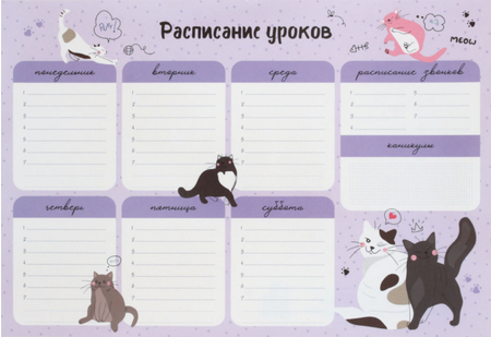 Расписание уроков с расписанием звонков ARTspace «Пиши-Стирай», А3 (297*420 мм), «Милый кот»