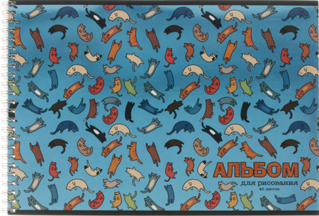 Альбом для рисования А4 «Полиграф Принт», 40 л., «Воздушные коты»