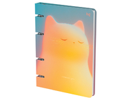 Тетрадь общая А5, 120 л. на кольцах BG