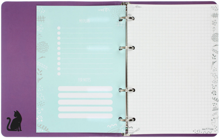 Тетрадь общая А5, 100 л. на кольцах Meshu, 160*215 мм, клетка, Catsday