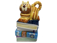 Банка для печенья «Кот на книгах» Банка для печенья «Кот на книгах»