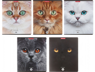 Тетрадь общая А5, 96 л. на скобе ErichKrause Cats Тетрадь общая А5, 96 л. на скобе ErichKrause Cats