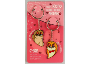 Набор парных брелоков «Тому, кого очень-очень люблю», 8×13,3 см