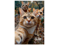 Книжка записная «Фотография котиков» Книжка записная «Фотография котиков»