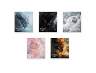 Тетрадь общая А5, 48 л. на скобе ErichKrause Cloudy Cats