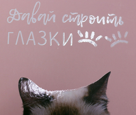 Книжка записная «Бизнес-блокнот BG» (А5, 80 л.), 165*215 мм, 80 л., клетка, «Строим глазки»