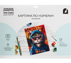 Картина по номерам на картоне «Три совы», 30×40 см, «Кот в худи»