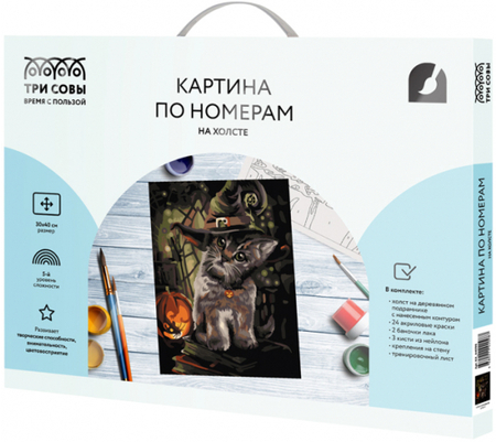 Картина по номерам на холсте «Три совы», 30*40 см, «Заколдованный котик»