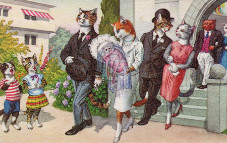 , «Крестины кошечки 2»