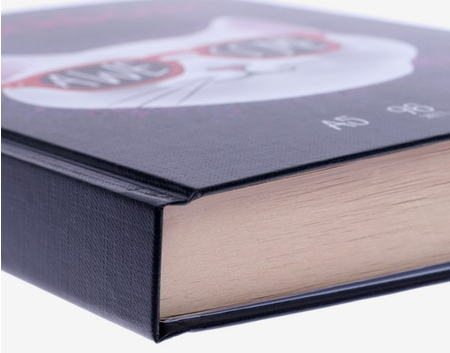 Скетчбук Cool Cat (А5), 220*170 мм, 96 л.