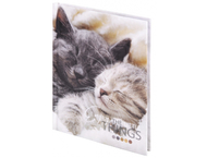 Книжка записная Staff «Котики» (А6)