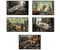 Альбом для рисования А4 ErichKrause, 203*297 мм, 40 л., Big City Cats, ассорти