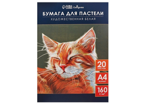 Бумага для пастели А4 «Кот», 20 л., 160 г/м²
