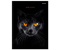 Книжка записная «Бизнес-блокнот. Черная кошка-2», 174*223 мм, 80 л., клетка