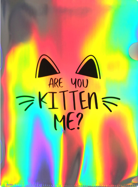 Папка-уголок пластиковая «Голографическая» А4, «Веселый кот»