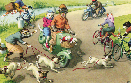 , «ДТП 1» (мотоцикл и мопсы)