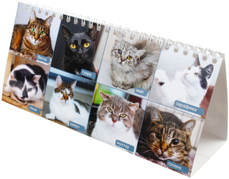 «Календарь хорошего человека» на 2026 год «Домик», 210*100 мм (благотворительный) «Календарь хорошего человека» на 2026 год «Домик», 210*100 мм (благотворительный)