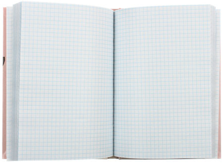 Книжка записная Prof-Press (А5), 145*200 мм, 160 л., «Коты-1»