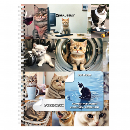 Стикербук-блокнот с наклейками Brauberg «Просто наклей», 105*150 мм, 16 л., 96 цветных стикеров, «Коты мемы»