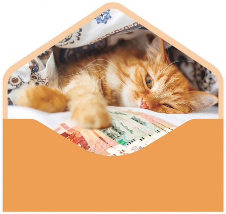 Открытка-конверт для денег «Мир открыток», 90*190 мм, «Бархатный. На исполнение желаний, персиковый»