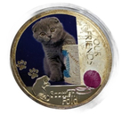 Монета в круглой коробке Our Friends, диаметр 3,9 см, Scottish Fold