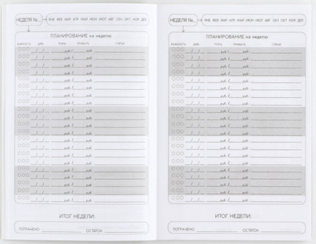 Книжка записная для планирования финансов Cashbook, 100*140 мм, 52 л. «Кот»