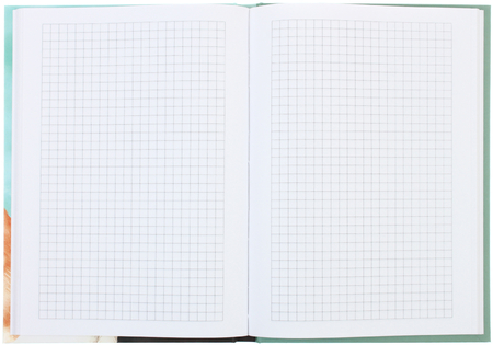 Книжка записная «Бизнес-блокнот BG» (А5, 80 л.), 150*210 мм, 80 л., клетка, «Мы?»