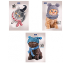 Блокнот на склейке Hatber «Кототерапия» (А6), 110×145 мм, 40 л., клетка, ассорти