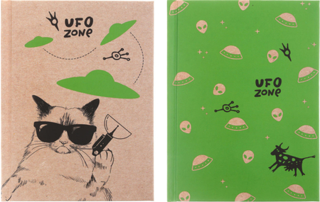 Книжка записная «Бизнес-блокнот» BG А6, 110*145 мм, 80 л., клетка, UFO Zone, ассорти