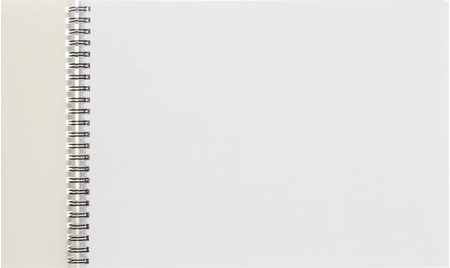 Альбом для рисования А4 «Канц-Эксмо», 40 л., «Сиамские кошечки»