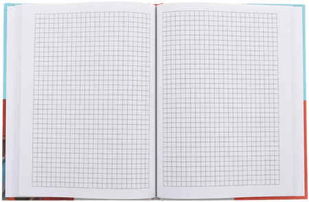 Книжка записная «Бизнес-блокнот» BG А5 (80 л.), 165*215 мм, 80 л., клетка, «Котофис мечты», ассорти