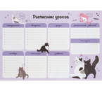 Расписание уроков с расписанием звонков ARTspace «Пиши-Стирай», А3 (297×420 мм), «Милый кот»