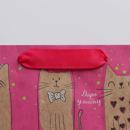 Пакет бумажный крафтовый «Милые котики», 23*27*11,5 см Пакет бумажный крафтовый «Милые котики», 23*27*11,5 см