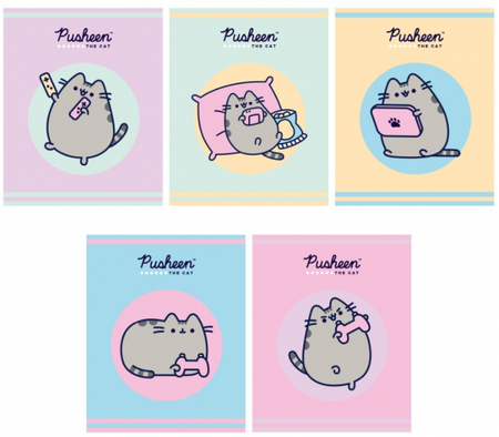 Тетрадь общая А5, 48 л. на скобе Pusheen, 163*202 мм, клетка, ассорти