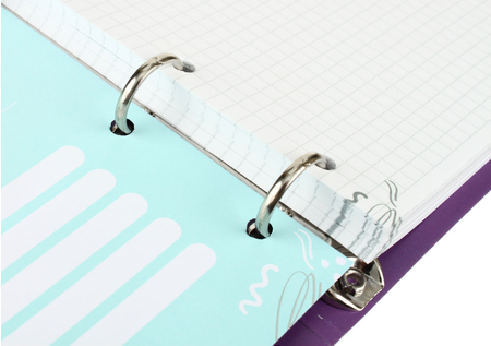 Тетрадь общая А5, 100 л. на кольцах Meshu, 160*215 мм, клетка, Catsday