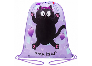Мешок для обуви «Пифагор», 420×340 мм, Falling Cat