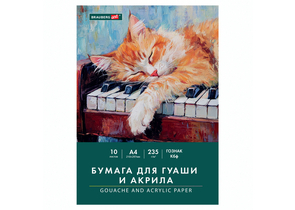 Бумага для гуаши и акрила в папке Brauberg Art Classic, А4 (210×297 мм), 10 л., 235 г/м², Art «Кот-музыкант» Бумага для гуаши и акрила в папке Brauberg Art Classic, А4 (210×297 мм), 10 л., 235 г/м², Art «Кот-музыкант»