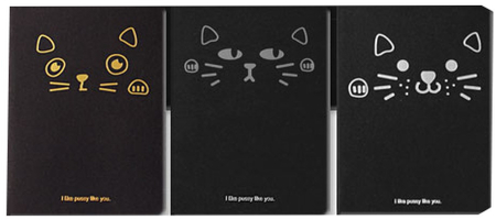 Скетчбук-блокнот креативный, 105*140 мм, 32 л., черные листы, I Like Pussy Like You, ассорти