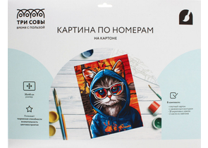 Картина по номерам на картоне «Три совы», 30×40 см, «Кот в худи»