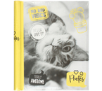 Фотоальбом Fluffy Pets «Мяу», 10 листов, 23×28 см