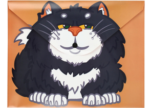 Папка для тетрадей на кнопке А4 Centrum, 310×240 мм, «Кот с лягушкой»