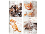 Тетрадь общая А5, 96 л. на гребне Brauberg «Котики» Тетрадь общая А5, 96 л. на гребне Brauberg «Котики»