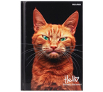 Книжка записная «Бизнес-блокнот. Рыжий котик-1», 110×148 мм, 80 л., клетка
