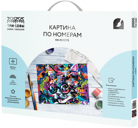 Картина по номерам на холсте «Три совы», 40*50 см, «Абстрактный кот» Картина по номерам на холсте «Три совы», 40*50 см, «Абстрактный кот»
