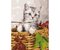 Картина по номерам «Остров сокровищ» (на подрамнике, с акриловыми красками), 40*50 см, «Котенок»