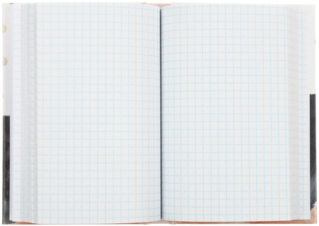 Книжка записная Prof-Press (А6), 100*150 мм, 160 л., клетка, «Дружба котиков»
