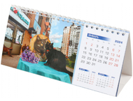 Календарь настольный перекидной на 2024 год «Домик. Котовасия»